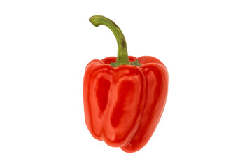 Red bell pepper is isolated. Fresh ripe vegetable with a green stem.