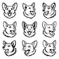 Pembroke Welsh Corgi