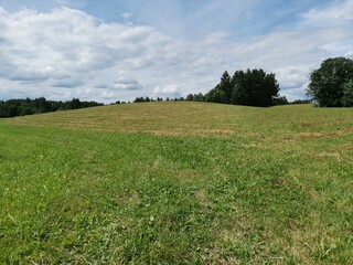 green field and blue sky