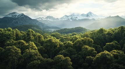 Majestic Mountain Range Surrounded by Lush Green Forests Under Dramatic Sky at Dawn