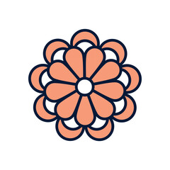Chrysanthemum Vector icon