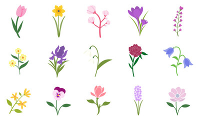 Colorful Spring Flowers Vector Illustration Set  Blooming Floral Icons Including Tulip, Daffodil, Cherry Blossom, Crocus, Iris, Pansy, Lotus, Bellflower, Hyacinth  Flat Design Elements Collection