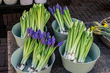 Bouquets of purple and white hyacinths at a street flower market. Selling cut spring flowers.