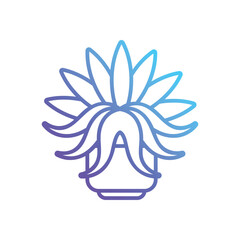 Spider plant Vector icon