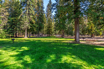 The heavily treed forest at Round Lake Campground operated by the Department of Parks and Recreation in the town of Sagle near Coeur d'Alene, Idaho.
