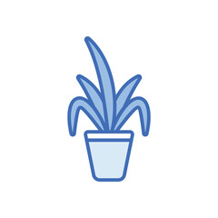 Chinese evergreen Vector icon