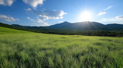 Fototapeta premium Lush green meadow, mountains, blue sky
