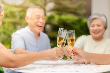 A group of people clink champagne glasses together in a celebratory toast. The image conveys joy, celebration, and togetherness in an outdoor setting, symbolizing special moments and shared happiness.