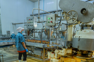 A factory worker inspects advanced machinery in a modern food production facility, ensuring seamless operations and compliance with hygiene and safety standards for efficient manufacturing processes.