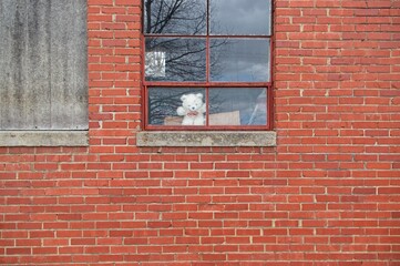 Exterior of an abandoned school building with teddy bear in window