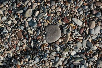 Rocky Beach Near a Hotel – Need for Water Shoes