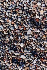 Rocky Beach Near a Hotel – Need for Water Shoes