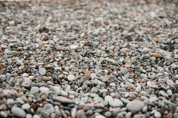 Rocky Beach Near a Hotel – Need for Water Shoes