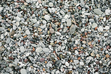 Rocky Beach Near a Hotel – Need for Water Shoes