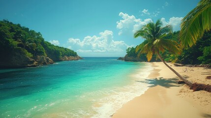 Tropical Beach Cove, Sunny Day