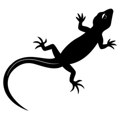 Obraz premium Lizard black Vector Silhouette