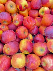 Fresh, vibrant red apples