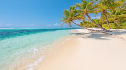 Obraz premium Tropical paradise: pristine beach with crystal clear waters and swaying palm trees