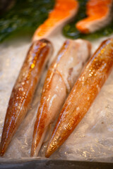  fresh squid of fish market