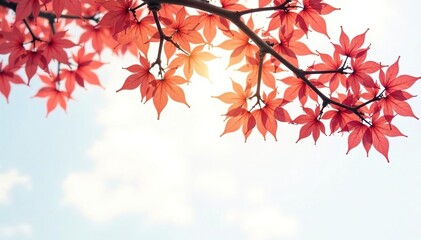 Branches isolated on white background with subtle reflection, light, surface, tree
