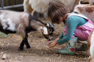 Kids with farm animals 