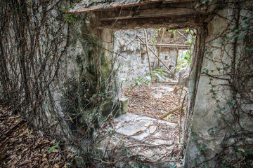Overgrown Ruins with Ivy-Covered Window and Wall