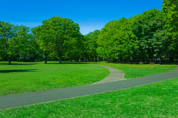 緑の公園