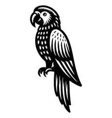 Obraz premium Black and White Graphic Vector Illustration of a Parrot Perched and Looking to the Side