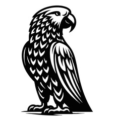 Fototapeta premium Illustration of a parrot looking to the right with detailed feather in black and white vector