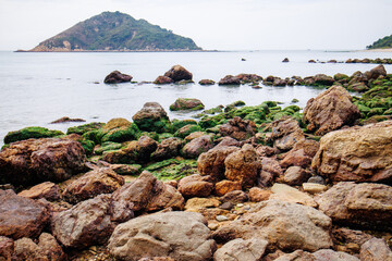 Rocky Shoreline Covered in Green Algae with Island View on a Cloudy Day