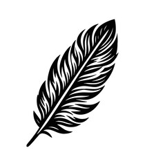Obraz premium Isolated Detailed Feather Silhouette on White Background with Elegant Fluffy Barbs