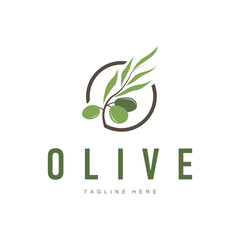 vintage design of olive plant, garden plant producing olive oil, illustration of simple olive logo, symbol, template