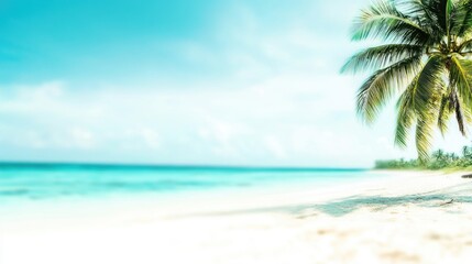 Fototapeta premium Tropical blur panorama