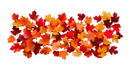 Autumn leaves falling on transparent background creating colorful border