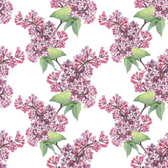 Watercolor seamless pattern with lilac isolated on white background. Spring hand-drawn purple flower green leaves for wedding celebration. Botanical summer art for wrapping or wallpaper sketchbook