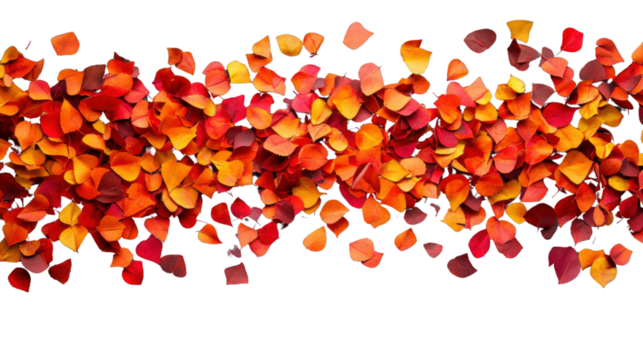 Autumn leaves falling on transparent background, creating a vibrant season display