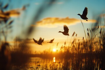 Silhouetted ducks flying over a golden sunset landscape.