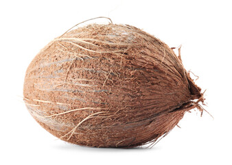 One whole coconut in shell isolated on white