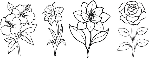 A Group of Flower hibiscus, rose pink lily elegant illustration