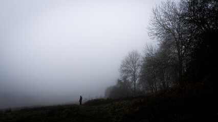 A eerie lost solitary figure, standing on the edge of a spooky forest on an eerie foggy winters day