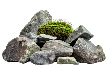Moss Covered Stones On White