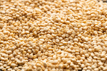 Heap of white quinoa seeds - Chenopodium quinoa
