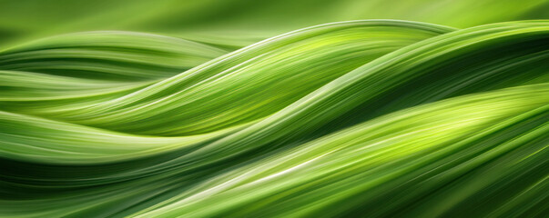 A green leafy plant with a long, curvy stem. The stem is green and has a wavy texture