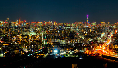 Fototapeta premium 東京夜景・大田区方面から望む