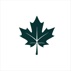 Maple leaf icon symbol vector symbol