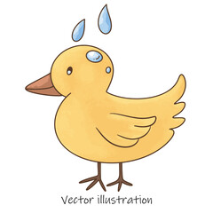 A duck standing in the rain.