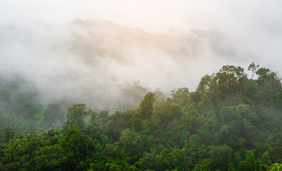 The Importance of Environmental Conservation