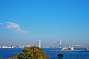 横浜から臨む海