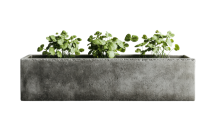 Concrete planter with green plants growing on transparent background