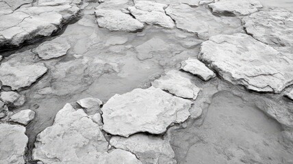 Cracked Earth Texture in Grayscale